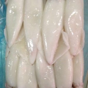 Squid (Whole – Cleaned)